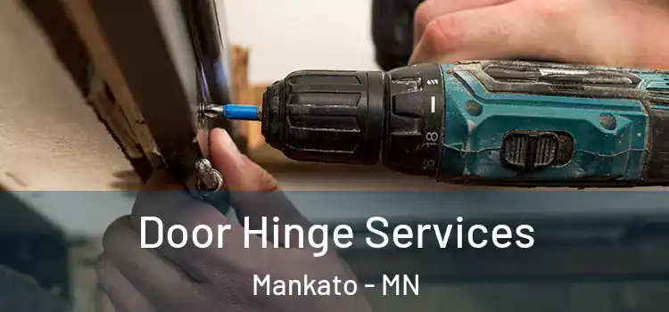  Door Hinge Services Mankato - MN