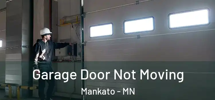  Garage Door Not Moving Mankato - MN