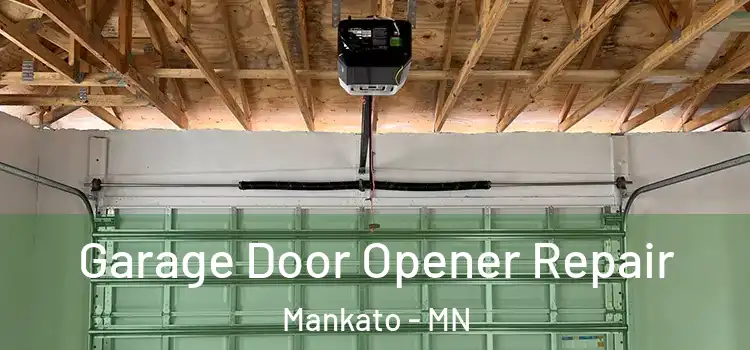  Garage Door Opener Repair Mankato - MN