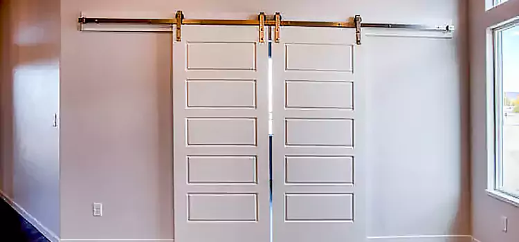 Glass Barn Door with Installation Hardware Kit Mankato